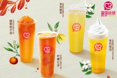蜜雪冰城加盟需要多少钱这费用你肯定想不到